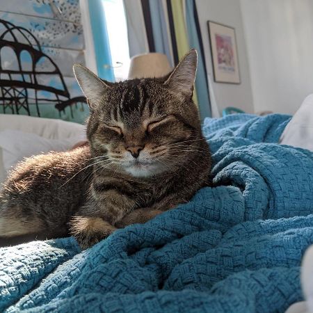 브레틀보로 The One Cat B&B 외부 사진