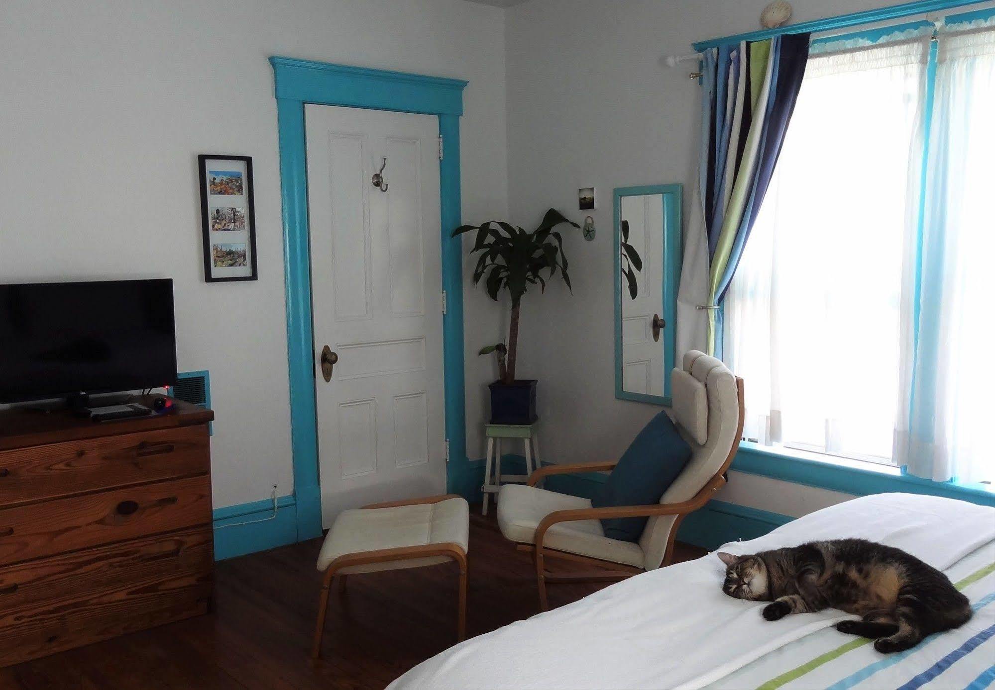 브레틀보로 The One Cat B&B 외부 사진